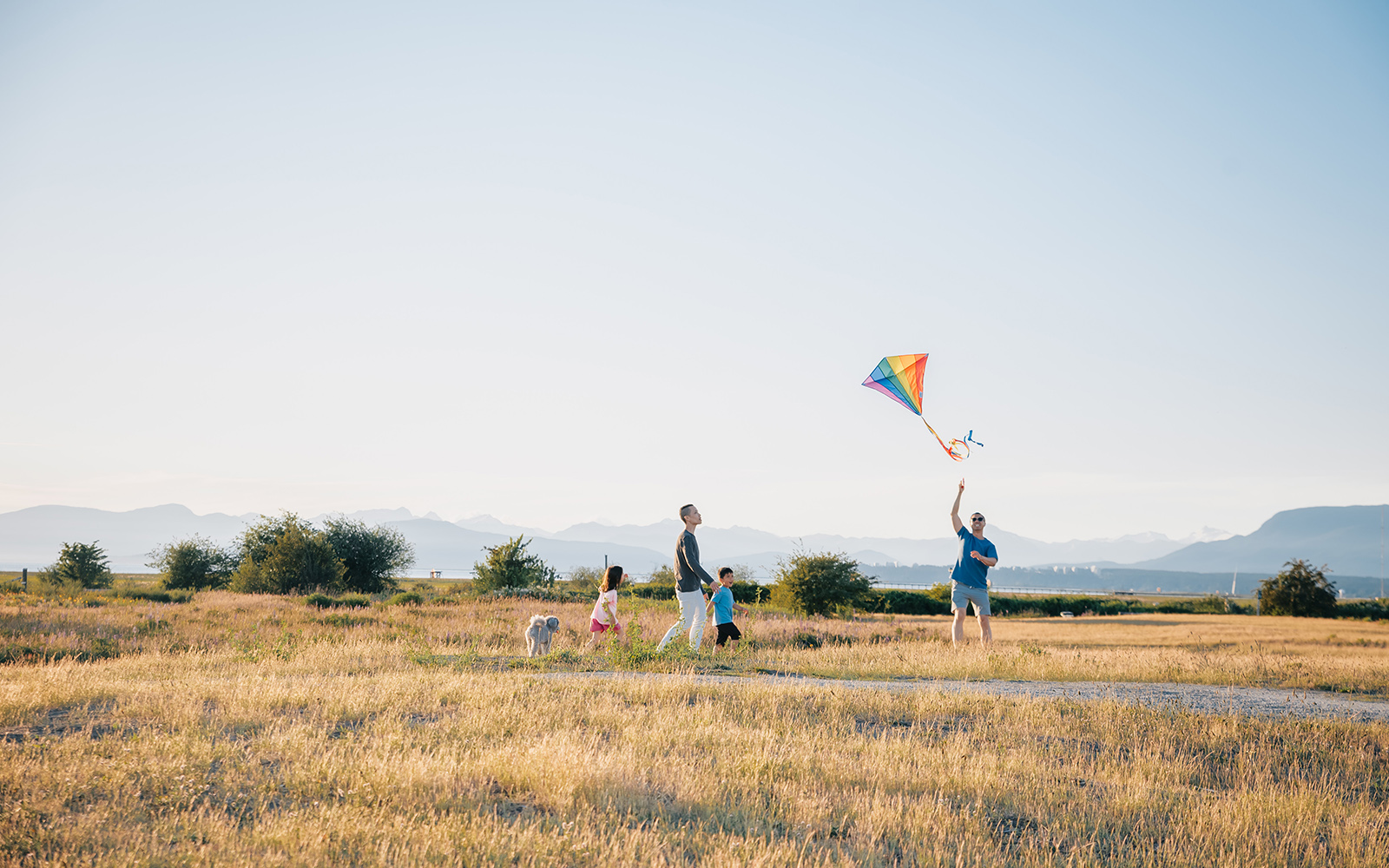 Healthy Societies Handbook