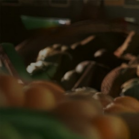 Retail / Consumer Products