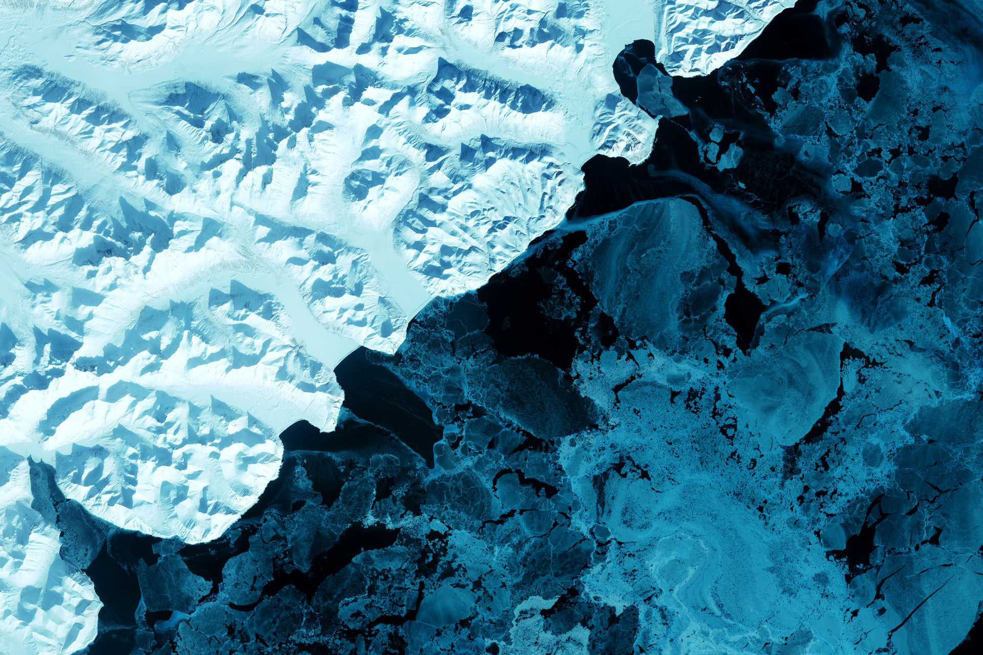 Climate Transition Talks