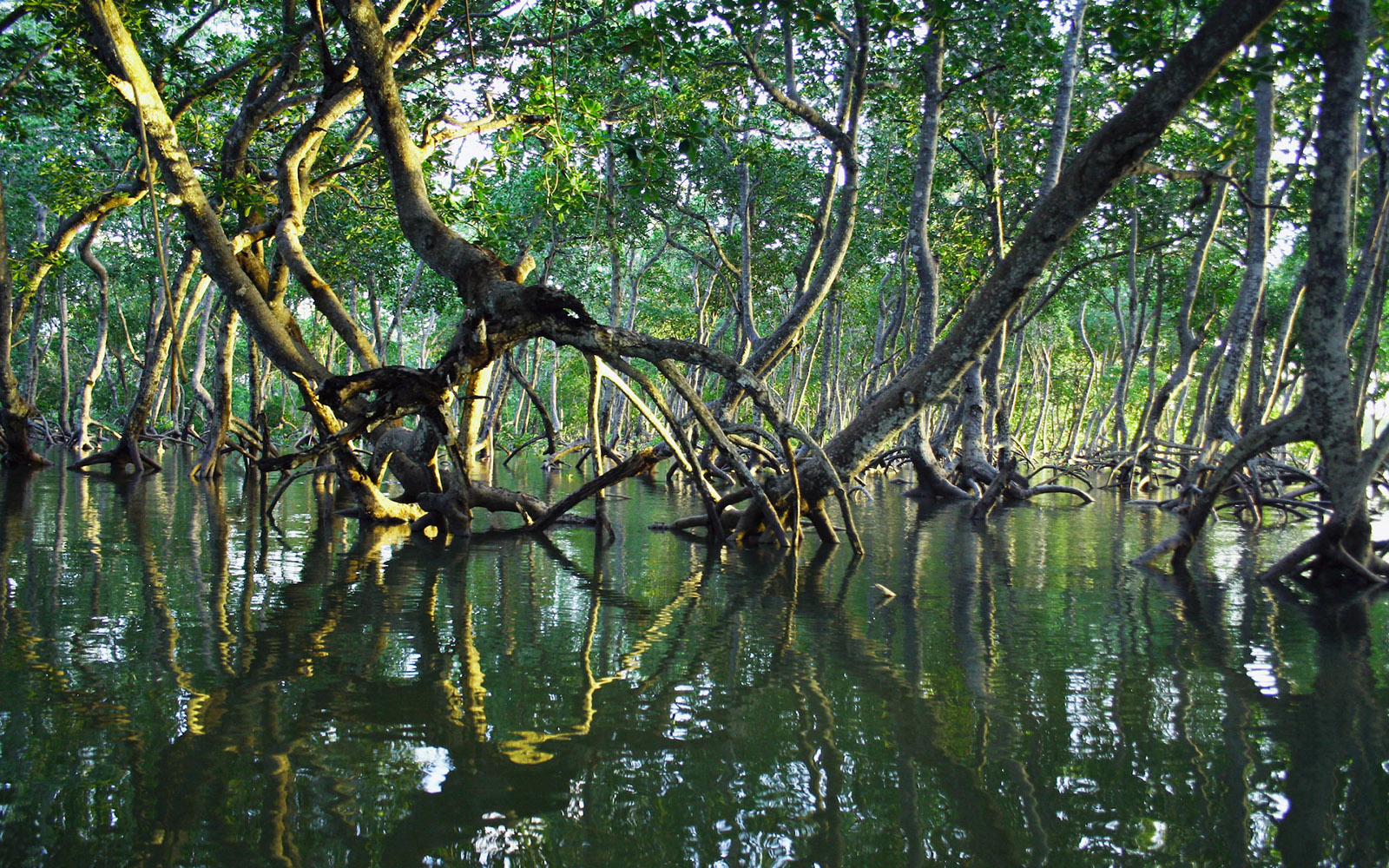 Fulfilling a Legacy of Societal Risk Management