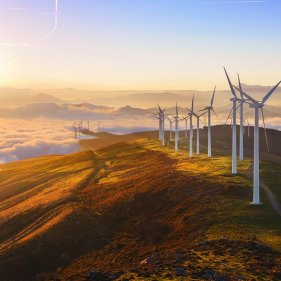 Climate resilience: 5 steps to strengthen supply chains