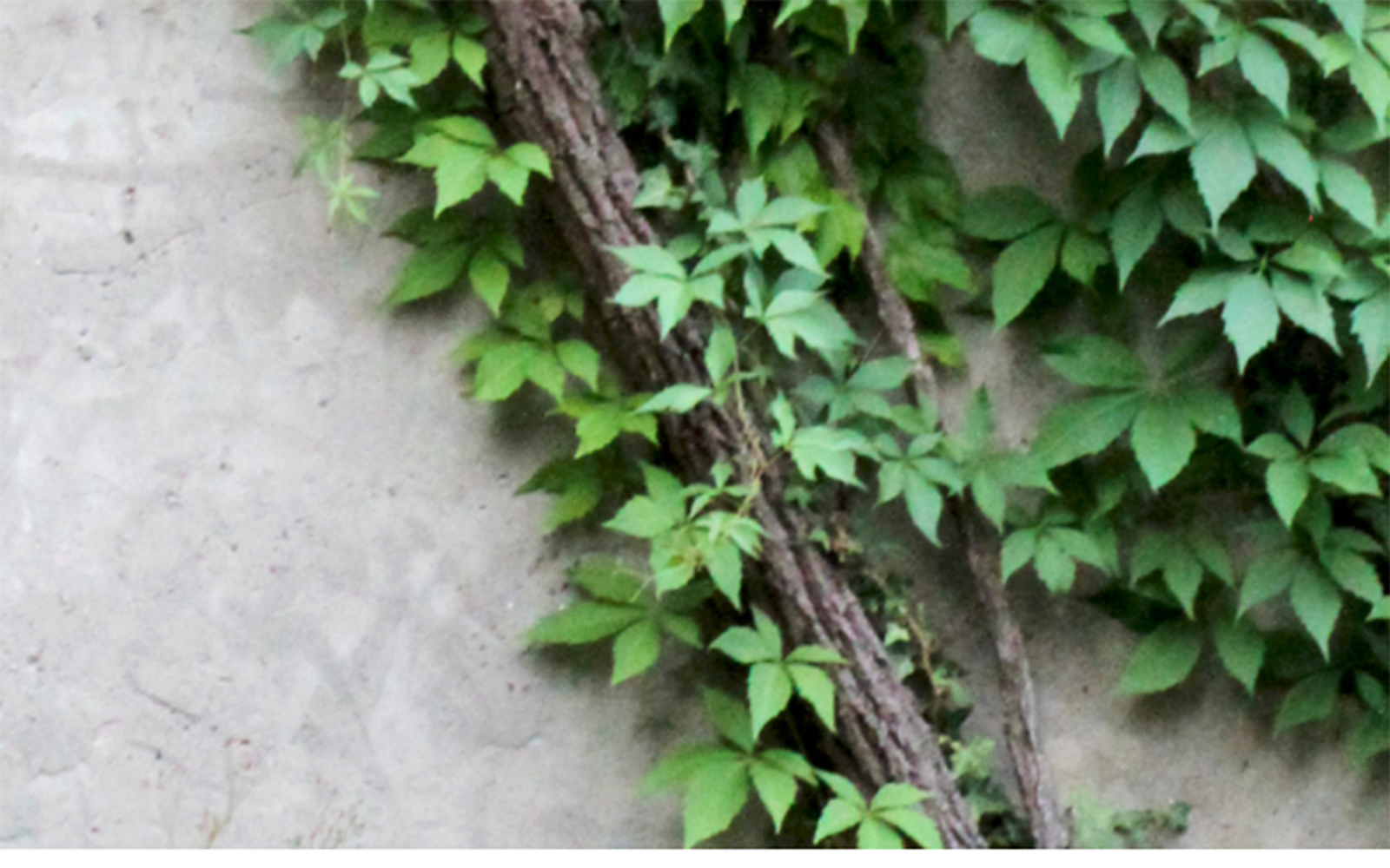 Insurance And Sustainability Opportunities For 2023