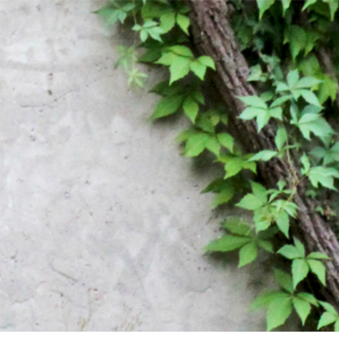 Insurance And Sustainability Opportunities For 2023