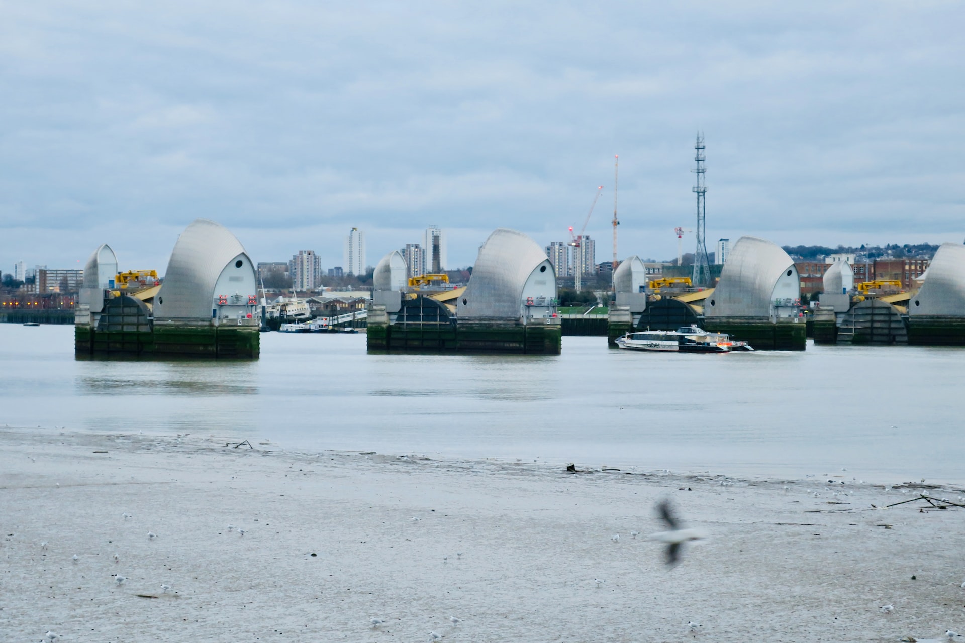 Climate change: How to shift from disaster recovery to prevention, resilience and risk reduction