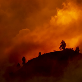 Community-based Catastrophe Insurance for Wildfire Risk