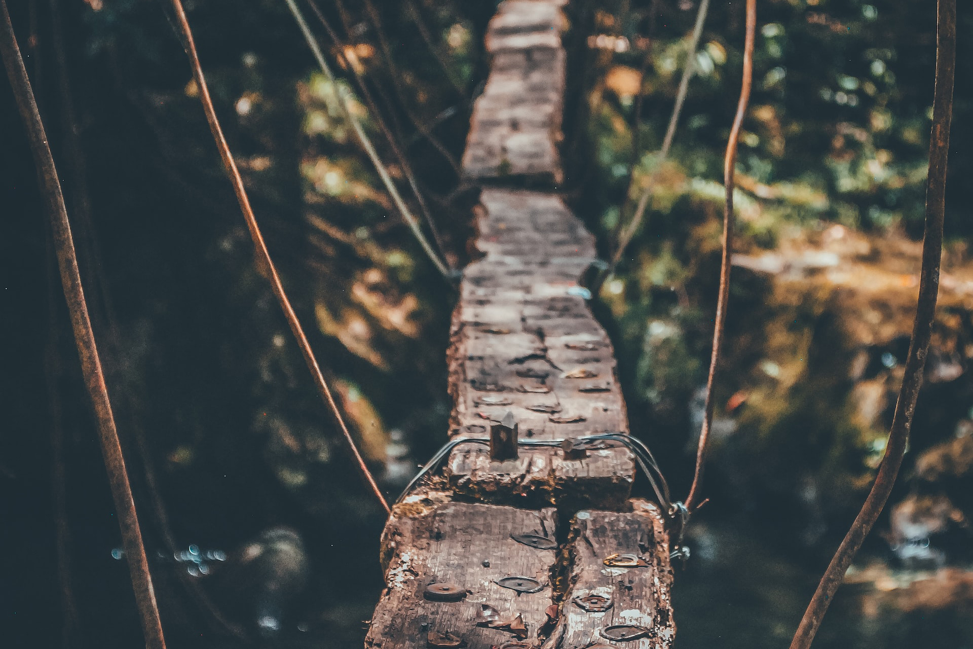 How can businesses successfully navigate economic uncertainty? 