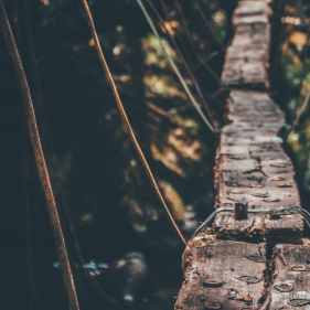 How can businesses successfully navigate economic uncertainty? 