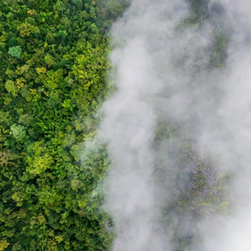 Global climate resilience hub