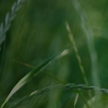 Perspective to Thrive