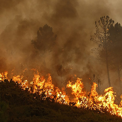 Insuring Against Wildfire Risks: The Case for Parametric Insurance