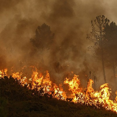 Insuring Against Wildfire Risks: The Case for Parametric Insurance