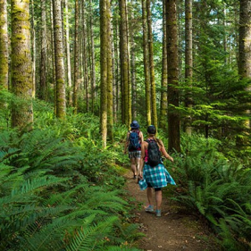 Roadmap for Canadian companies facing tariff uncertainty