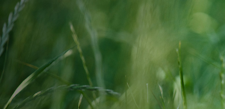 Perspective to Thrive