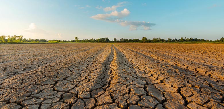 Climate takes a toll on worker health