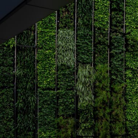 How insurers can help get the global economy to net zero